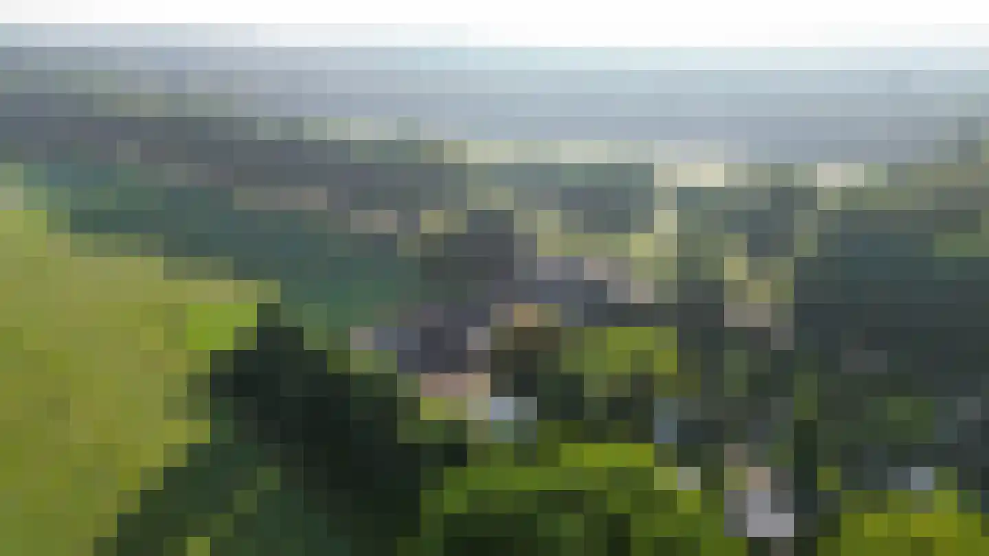 Houtkampweg 5 Otterlo thumbnail 85