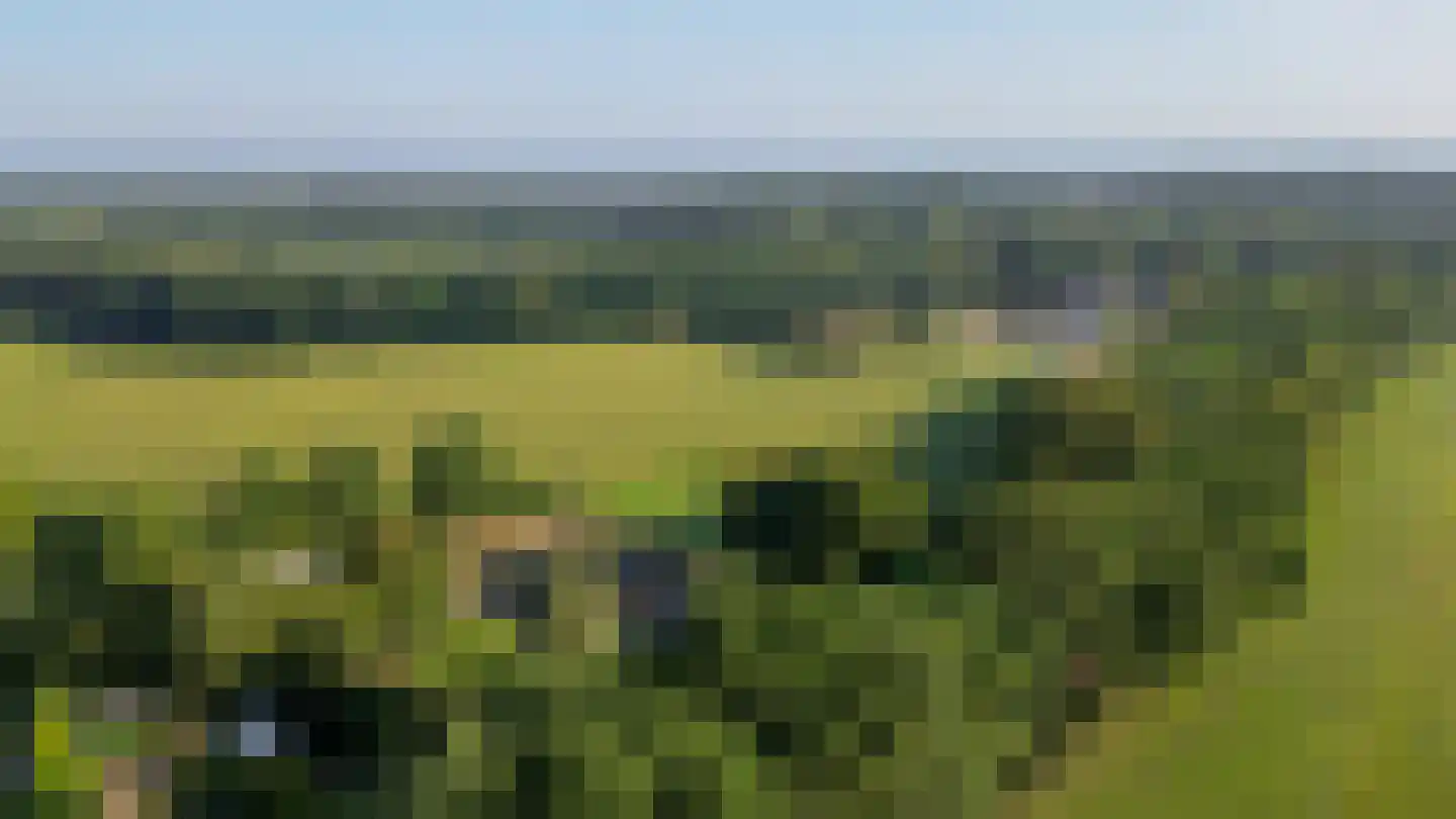 Houtkampweg 5 Otterlo thumbnail 87