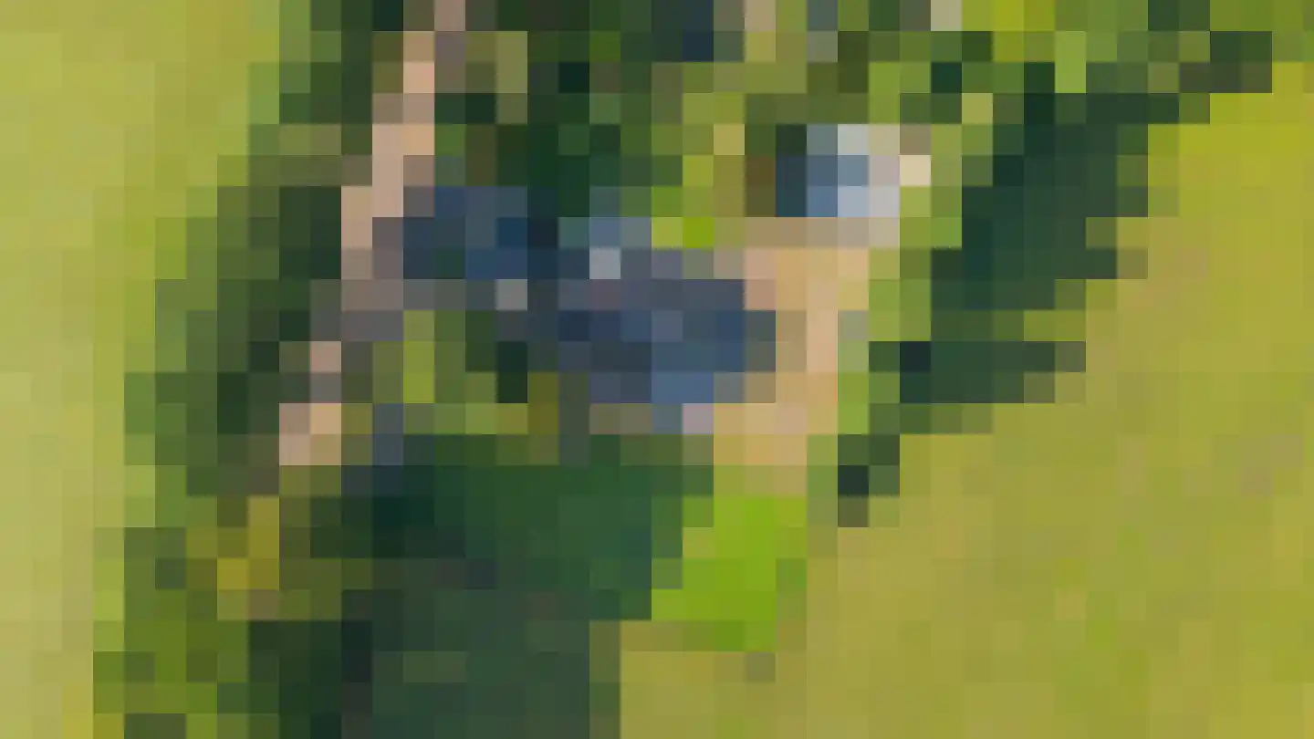 Houtkampweg 5 Otterlo thumbnail 88