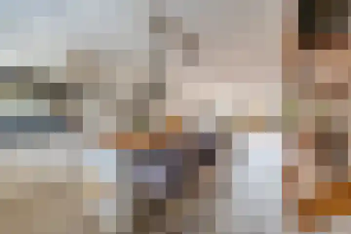 Houtkoper 9 Landsmeer thumbnail 10