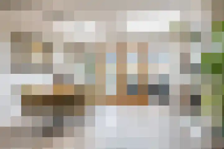 Houtkoper 9 Landsmeer thumbnail 14