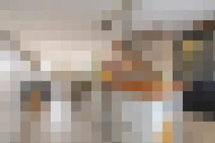 Houtkoper 9 Landsmeer thumbnail 22