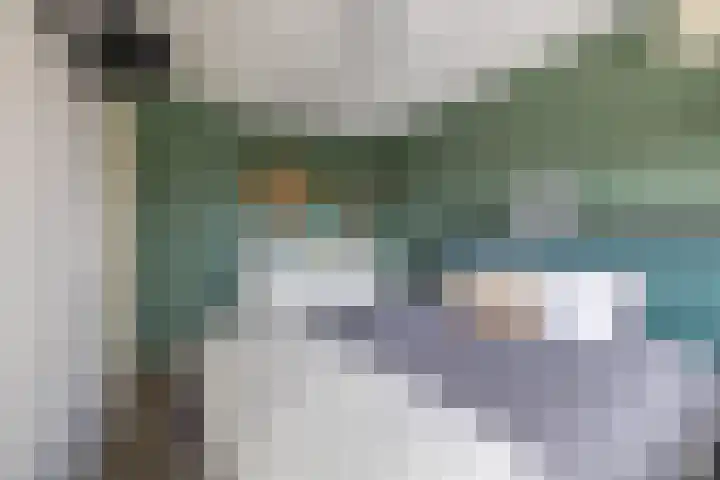 Houtkoper 9 Landsmeer thumbnail 26