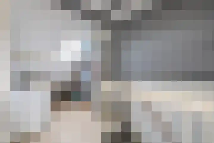 Houtkoper 9 Landsmeer thumbnail 34
