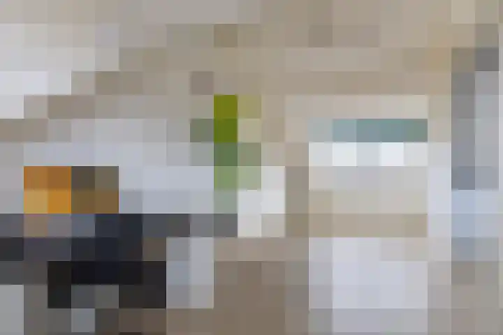 Houtkoper 9 Landsmeer thumbnail 37