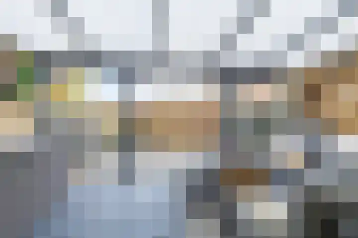 Houtkoper 9 Landsmeer thumbnail 38