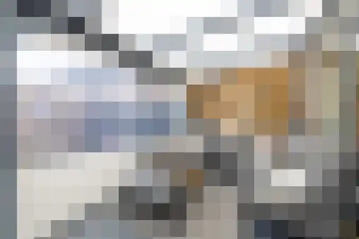Houtkoper 9 Landsmeer thumbnail 39