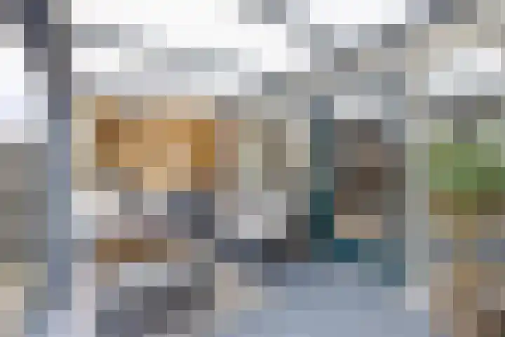 Houtkoper 9 Landsmeer thumbnail 41