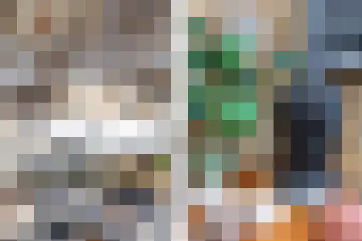 Houtkoper 9 Landsmeer thumbnail 43