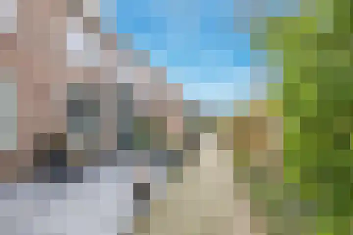 Houtkoper 9 Landsmeer thumbnail 6