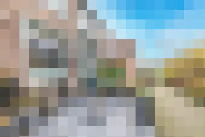 Houtkoper 9 Landsmeer thumbnail 7