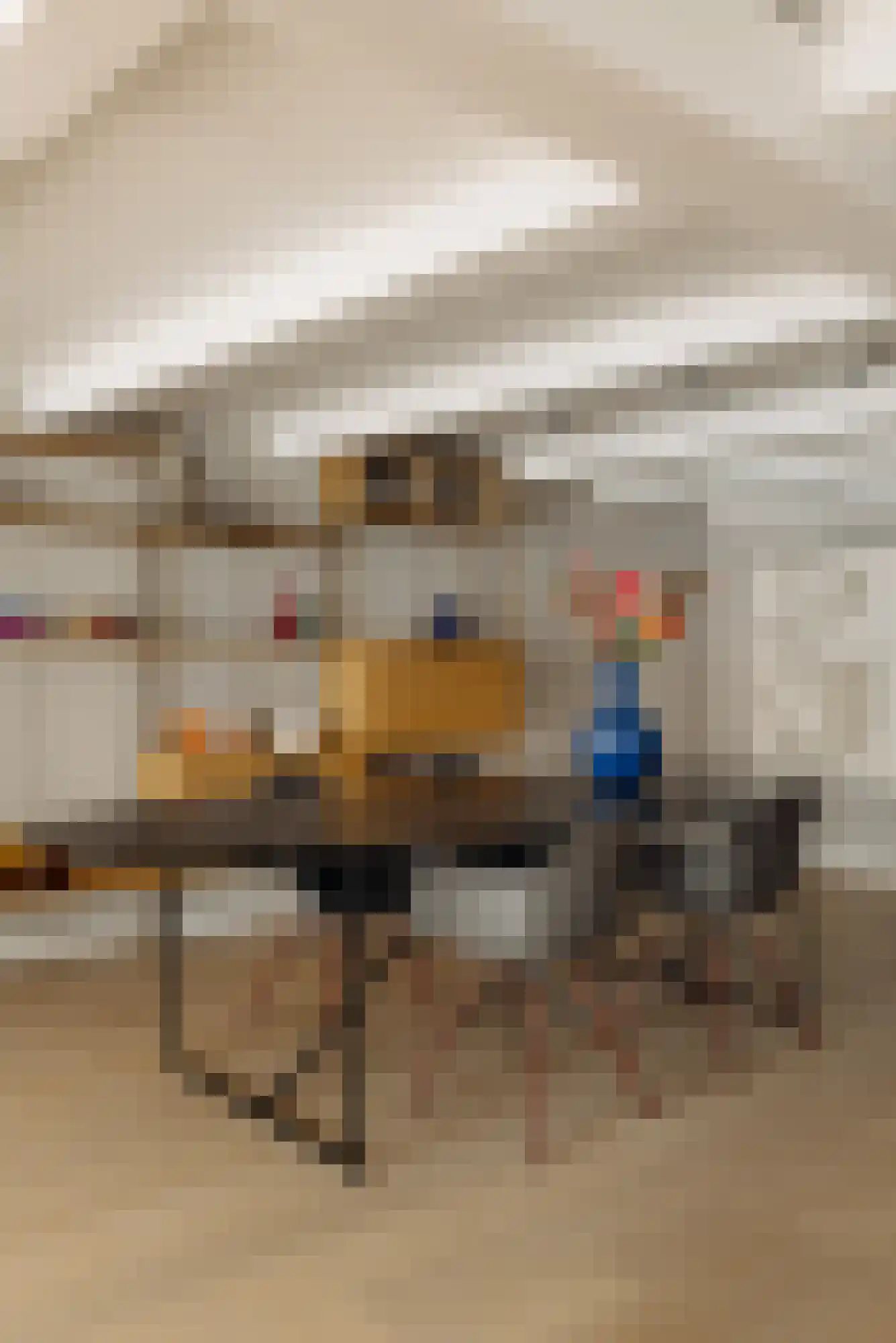 Houtkopersburgwal 14 Amsterdam thumbnail 16