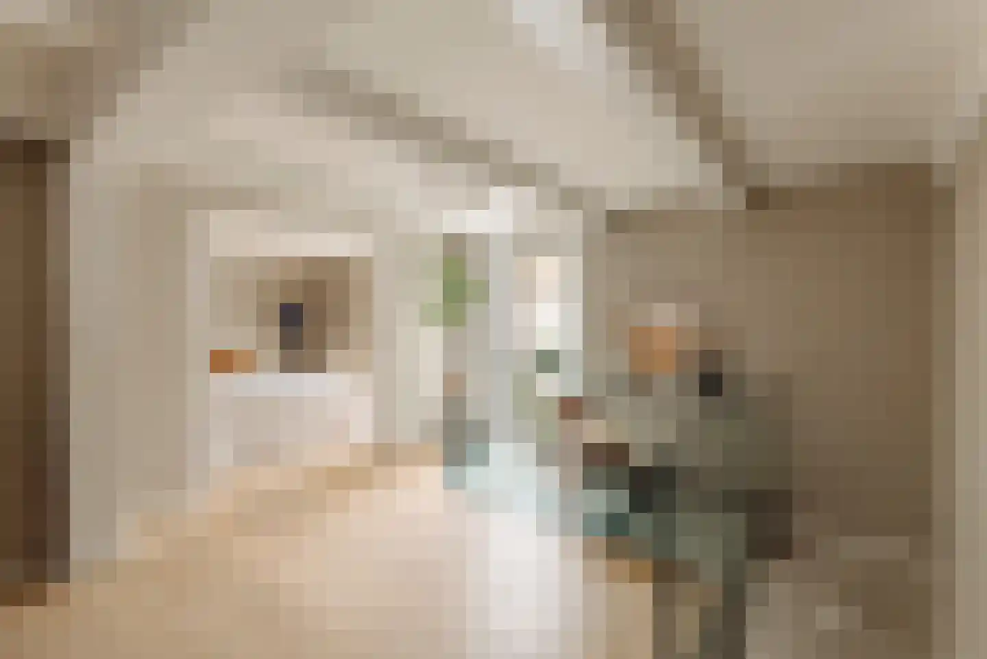 Houtkopersburgwal 14 Amsterdam thumbnail 18