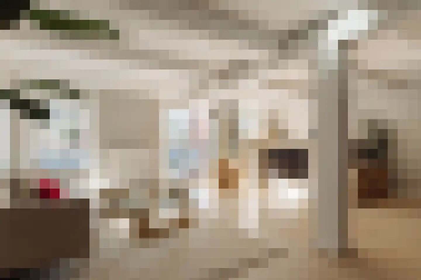 Houtkopersburgwal 14 Amsterdam thumbnail 4