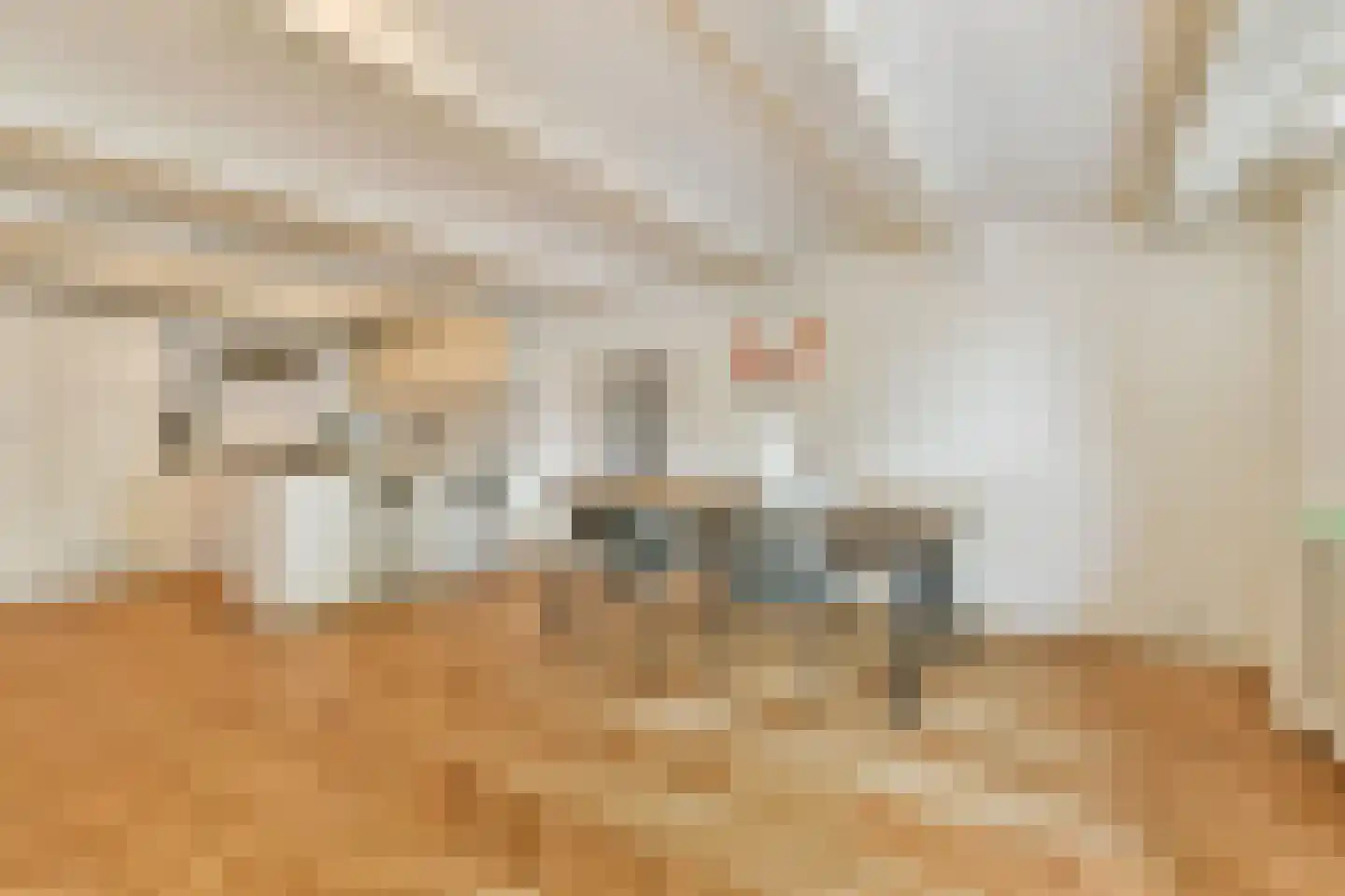 Houtkopersburgwal 16 Amsterdam thumbnail 20