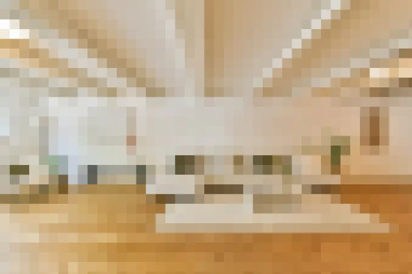 Houtkopersburgwal 16 Amsterdam thumbnail 4