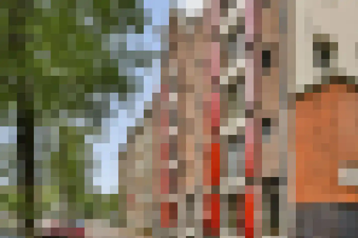 Houtkopersburgwal 16 Amsterdam thumbnail 7