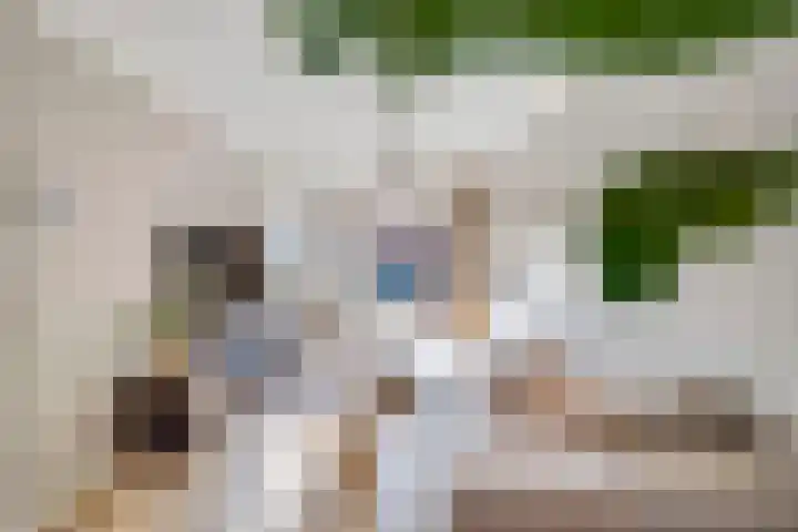 Houtkoperstraat 12 Brielle thumbnail 11