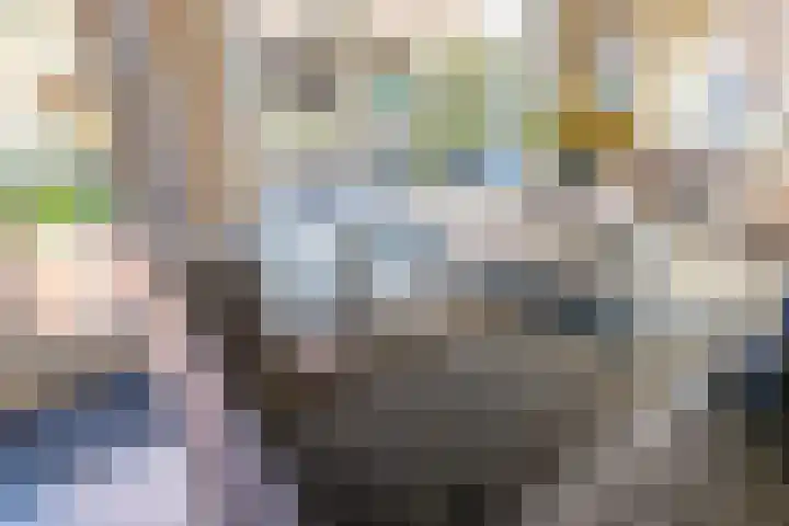 Houtkoperstraat 12 Brielle thumbnail 17