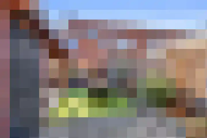 Houtkoperstraat 12 Brielle thumbnail 34