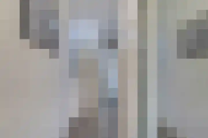Houtlaan 111 Drachten thumbnail 15