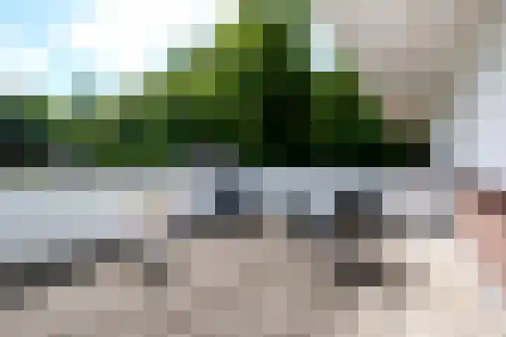 Houtlaan 129 Assen thumbnail 31