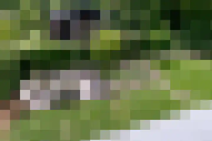 Houtlaan 129 Assen thumbnail 34