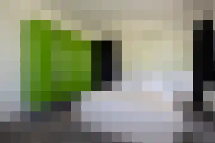 Houtlaan 129 Assen thumbnail 48