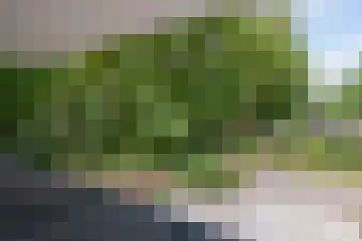Houtlaan 129 Assen thumbnail 49