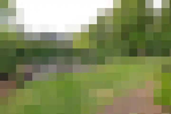 Houtlaan 129 Assen thumbnail 58