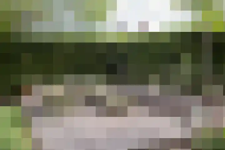 Houtlaan 129 Assen thumbnail 59