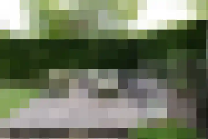Houtlaan 129 Assen thumbnail 61