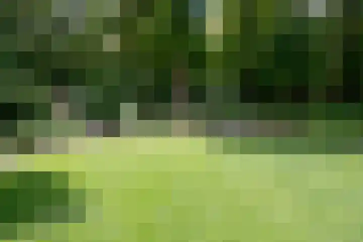 Houtlaan 129 Assen thumbnail 63