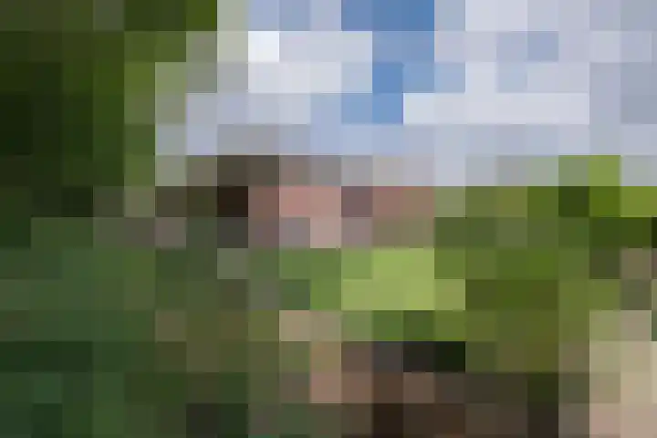 Houtlaan 129 Assen thumbnail 65