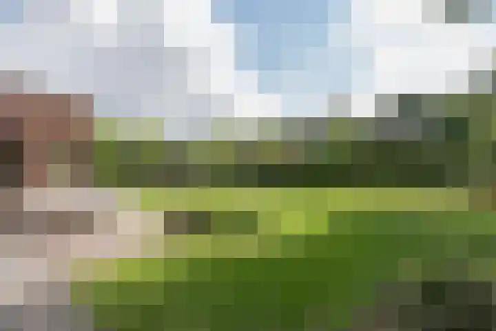 Houtlaan 129 Assen thumbnail 68