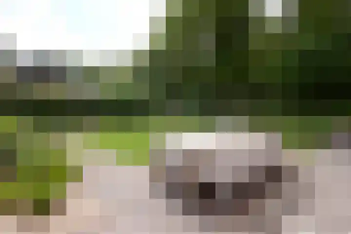 Houtlaan 129 Assen thumbnail 69