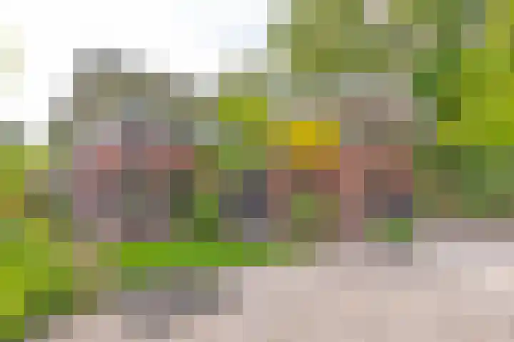 Houtlaan 129 Assen thumbnail 71