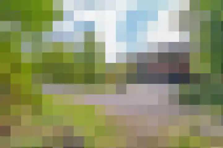 Houtlaan 129 Assen thumbnail 75