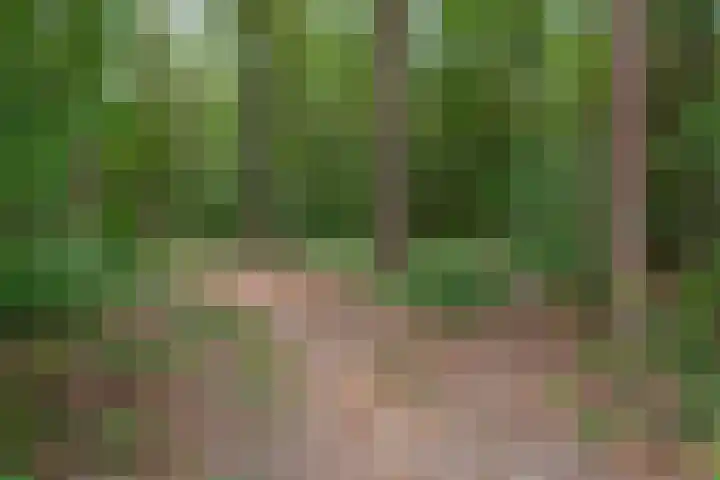 Houtlaan 129 Assen thumbnail 77