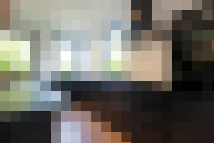 Houtlaan 129 Assen thumbnail 9
