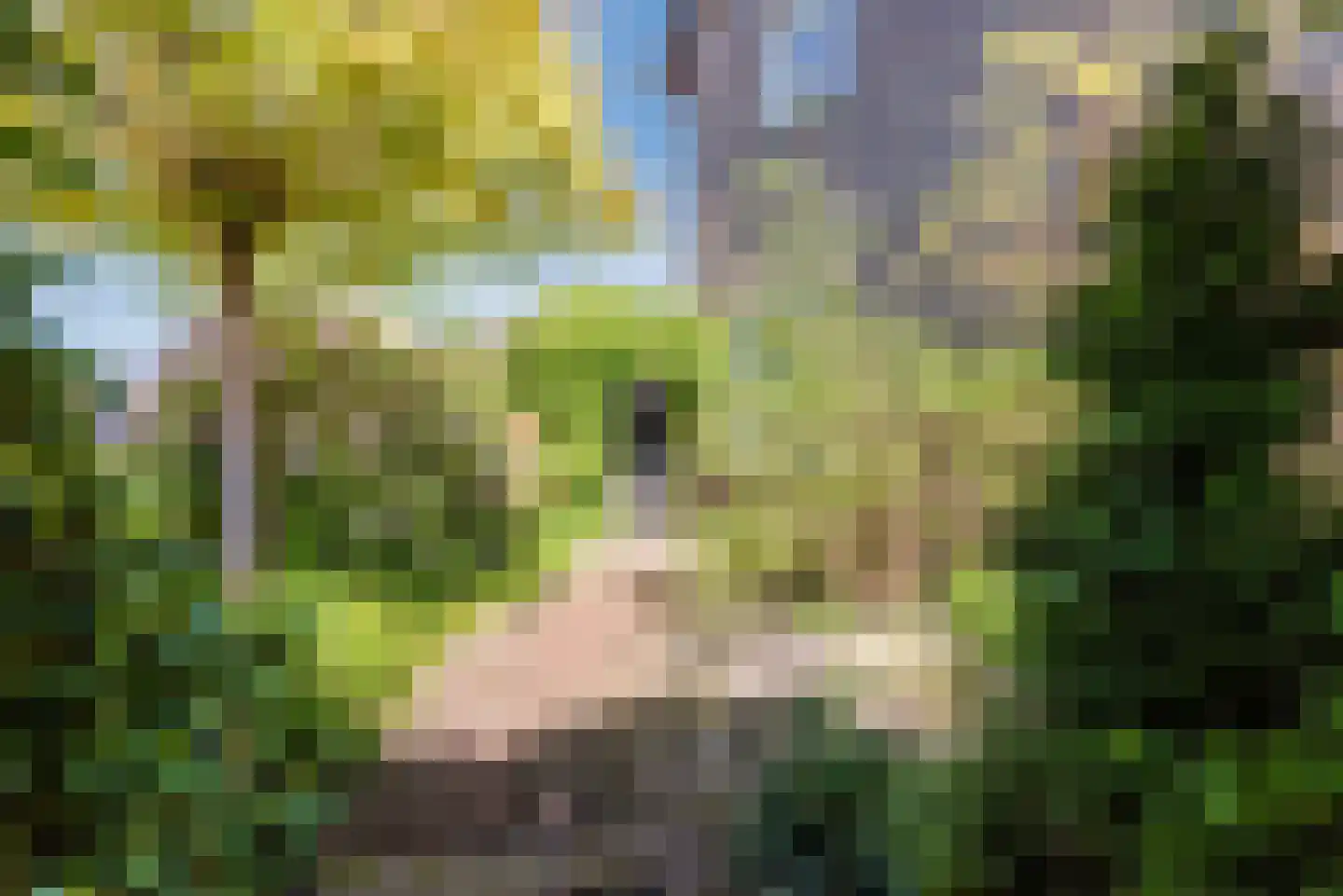 Houtlaan 131 Drachten thumbnail 37