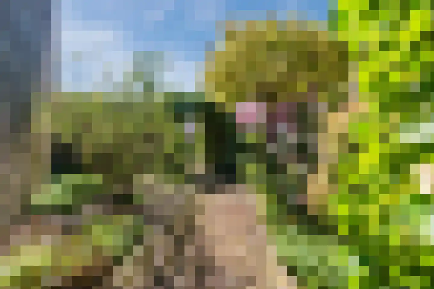 Houtlaan 131 Drachten thumbnail 8