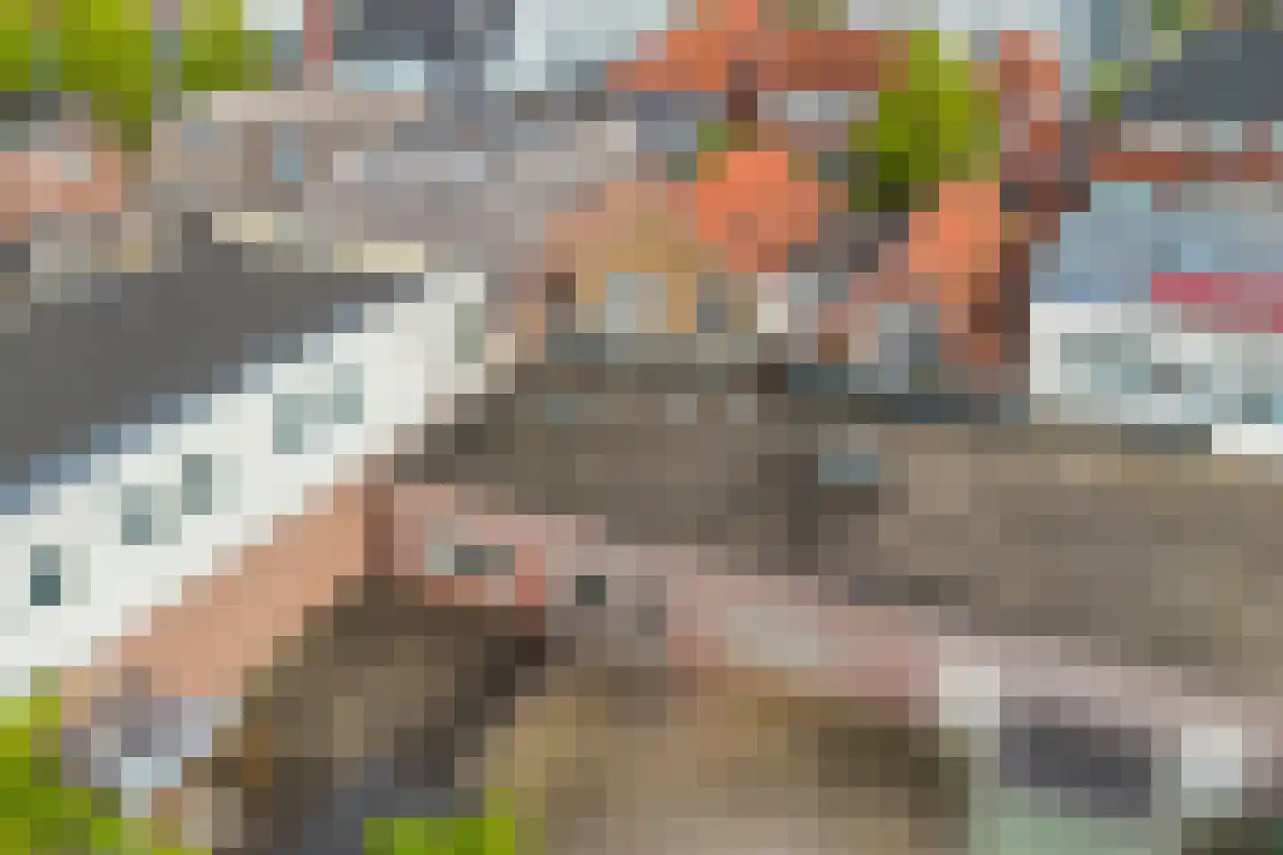 Houtlaan 14 Drachten thumbnail 46