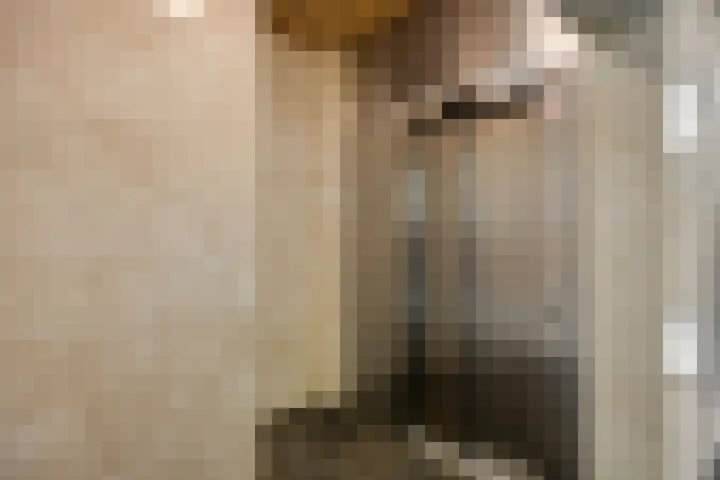 Houtlaan 14 F Rotterdam thumbnail 8