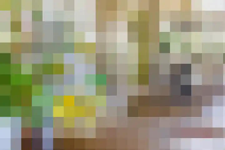 Houtlaan 17 Leiden thumbnail 10