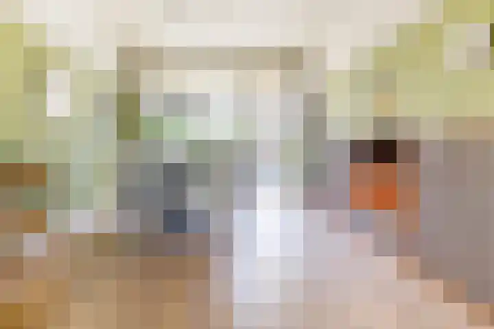 Houtlaan 17 Leiden thumbnail 12
