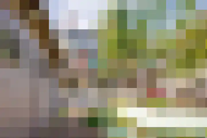 Houtlaan 17 Leiden thumbnail 15