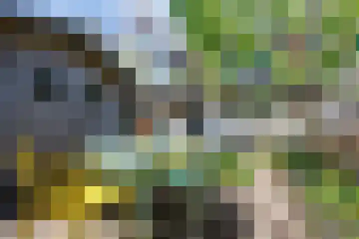 Houtlaan 17 Leiden thumbnail 23