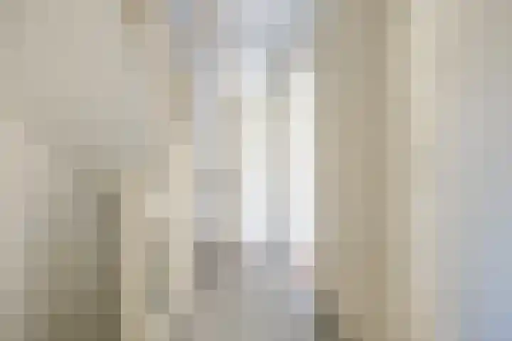 Houtlaan 17 Leiden thumbnail 28