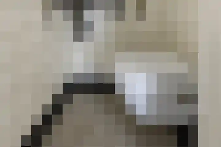 Houtlaan 17 Leiden thumbnail 45